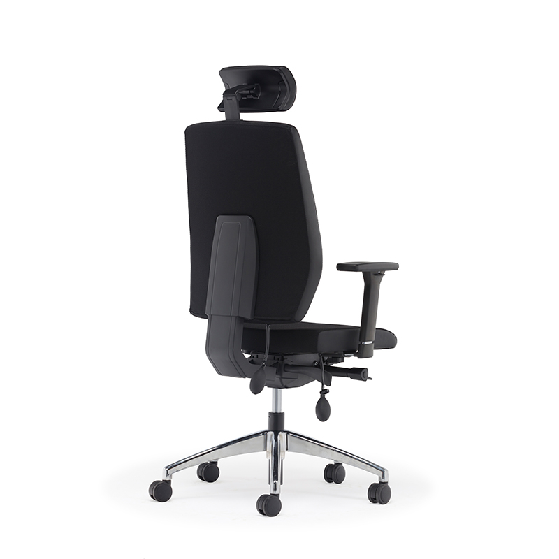 Best High Back Ergonomischer Executive Office Stuhl mit Lendenwirbelstütze-E2 Alpha 