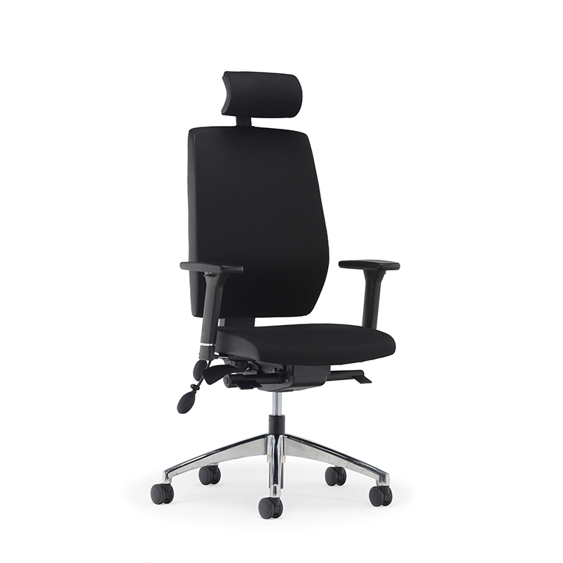 Best High Back Ergonomischer Executive Office Stuhl mit Lendenwirbelstütze-E2 Alpha 