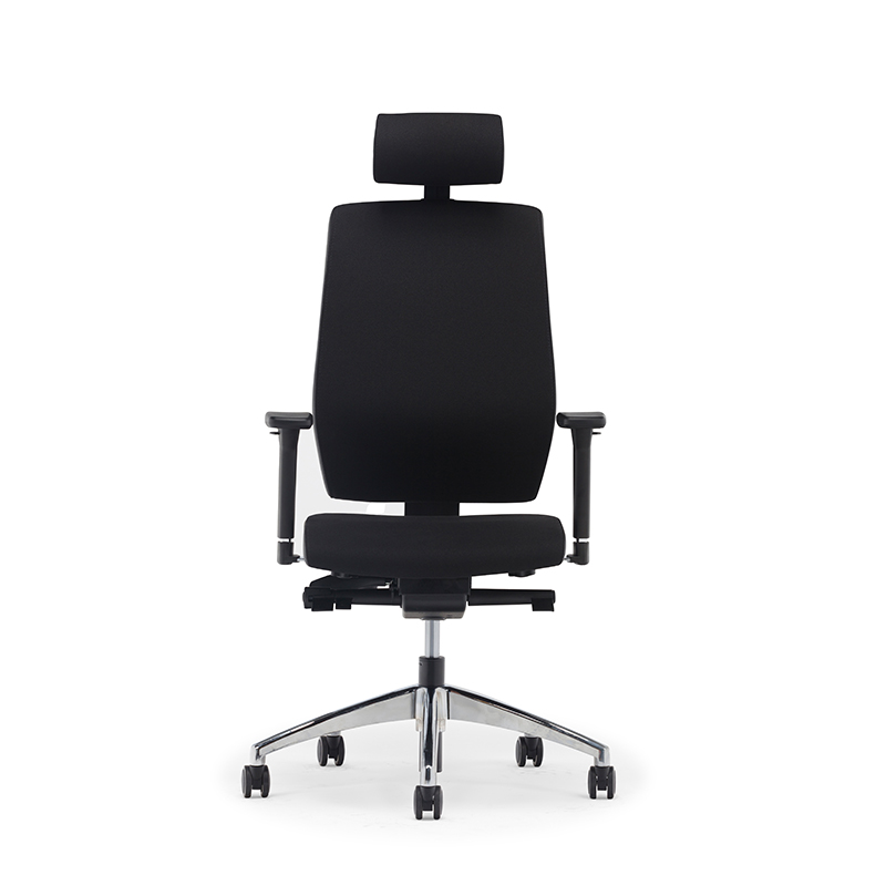 Best High Back Ergonomischer Executive Office Stuhl mit Lendenwirbelstütze-E2 Alpha 