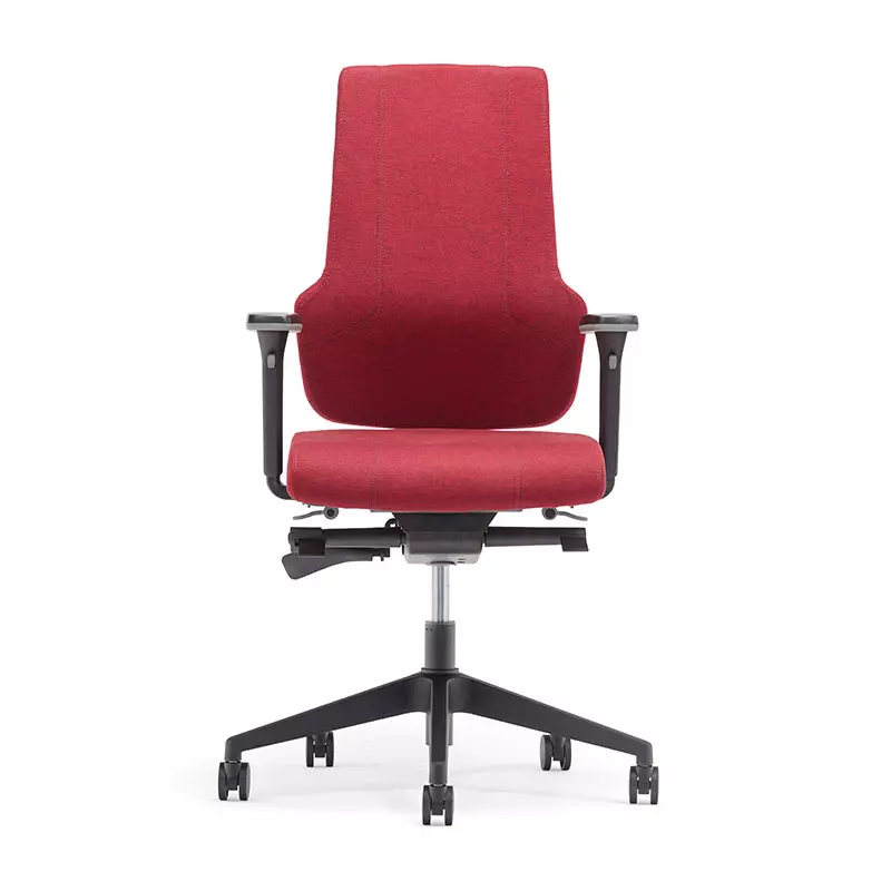 Beste Home Office High Back Computer Task Chair mit Back Support-T6 Ära 