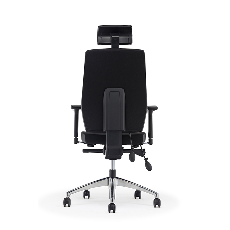 Best High Back Ergonomischer Executive Office Stuhl mit Lendenwirbelstütze-E2 Alpha 