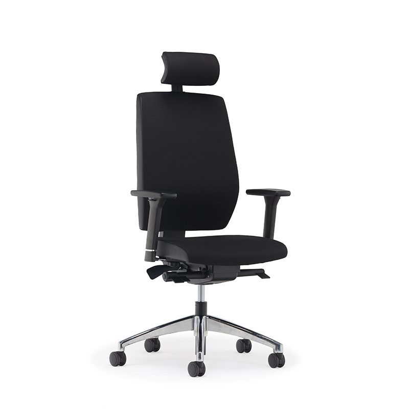 Best High Back Ergonomischer Executive Office Stuhl mit Lendenwirbelstütze-E2 Alpha 