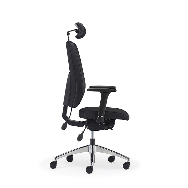 Best High Back Ergonomischer Executive Office Stuhl mit Lendenwirbelstütze-E2 Alpha 