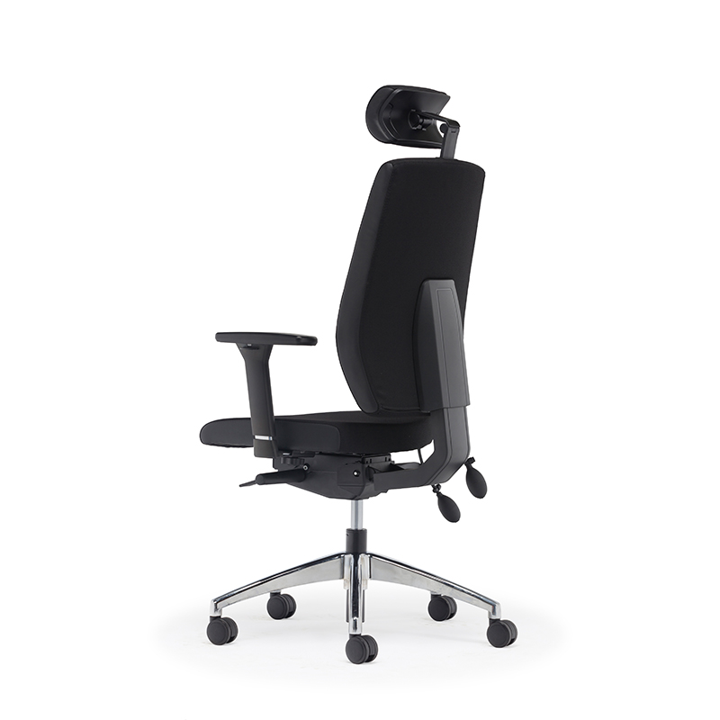 Best High Back Ergonomischer Executive Office Stuhl mit Lendenwirbelstütze-E2 Alpha 