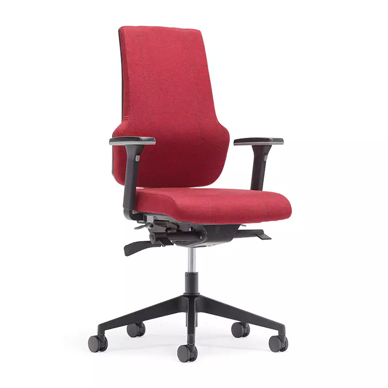 Beste Home Office High Back Computer Task Chair mit Back Support-T6 Ära 